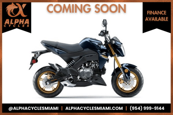 2023 KAWASAKI Z125