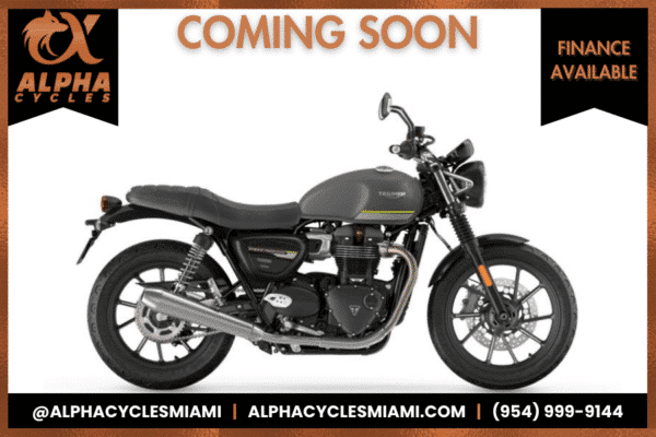 2023 TRIUMPH SPEED TWIN