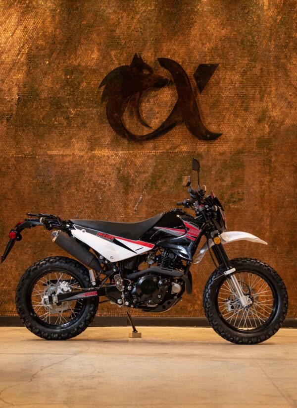 XF250 DUAL SPORT