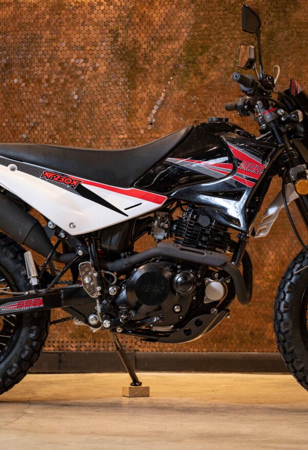 XF250 DUAL SPORT - Image 12