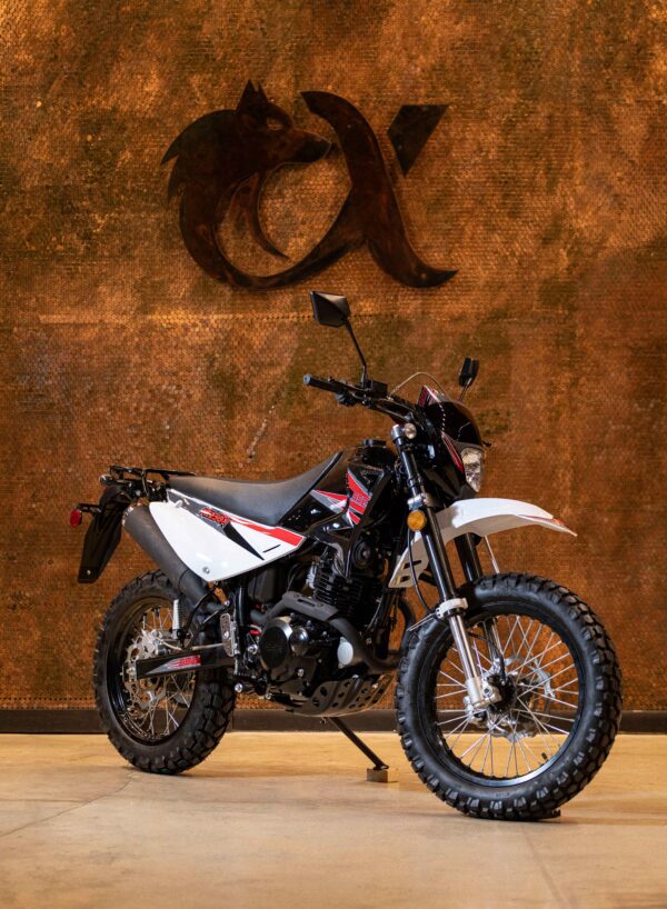 XF250 DUAL SPORT - Image 10