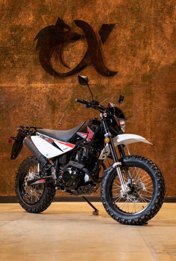 XF250 DUAL SPORT - Image 9