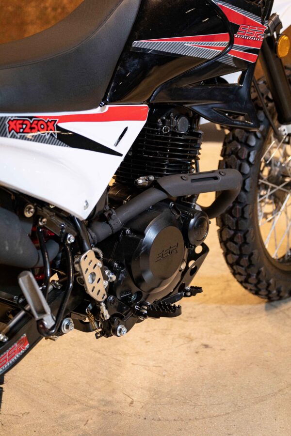 XF250 DUAL SPORT - Image 3