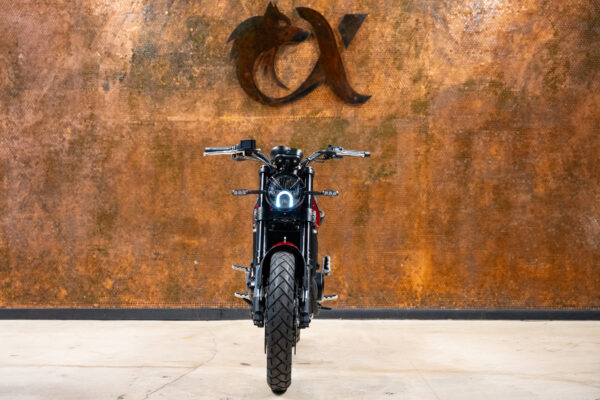 2022 BENELLI LEONCINO 500 TRAIL - Image 5