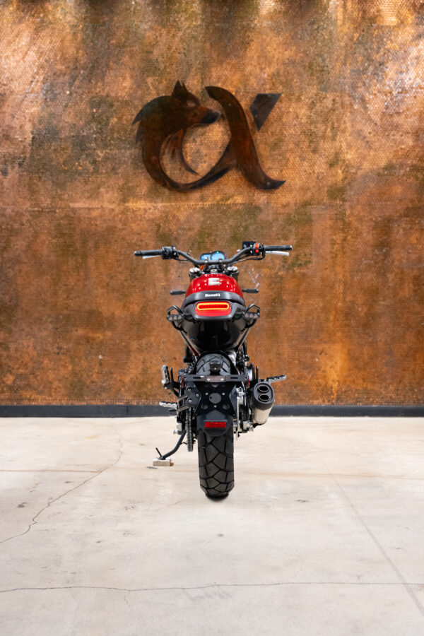 2022 BENELLI LEONCINO 500 TRAIL - Image 4