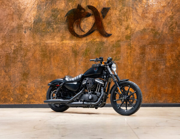 2020 HARLEY DAVIDSON SPORTSTER IRON 883™