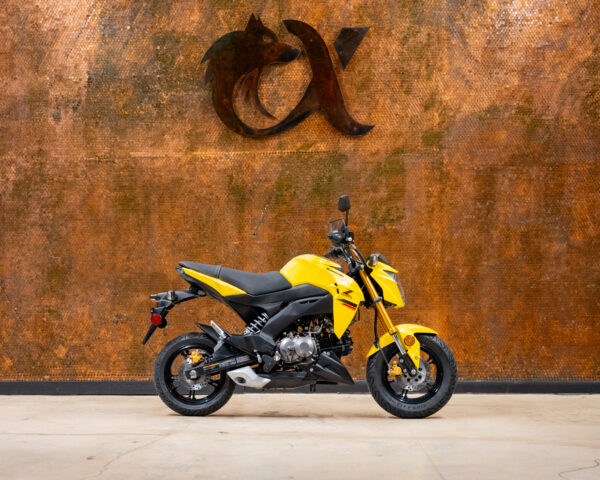 2022 KAWAZAKI Z125