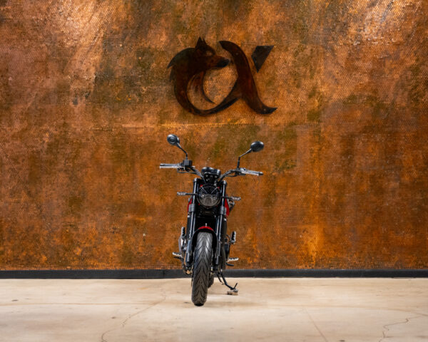 2022 BENELLI LEONCINO 500 - Image 3