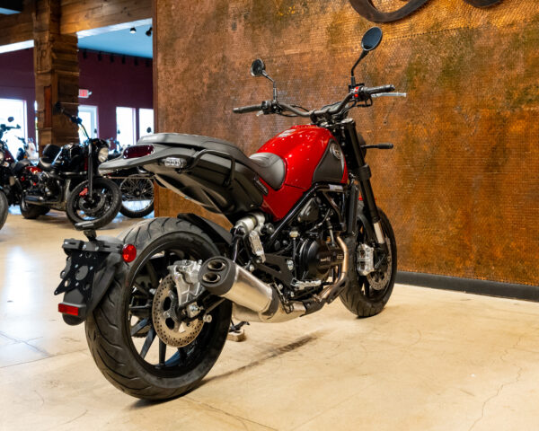 2022 BENELLI LEONCINO 500 - Image 10
