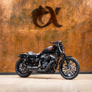 2019 HARLEY DAVIDSON SPORTSTER IRON 883™ CUSTOM