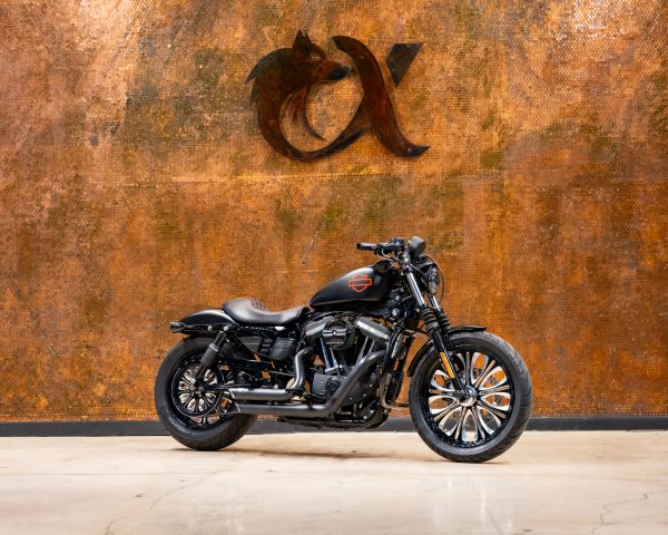 2019 HARLEY DAVIDSON SPORTSTER IRON 883™ CUSTOM