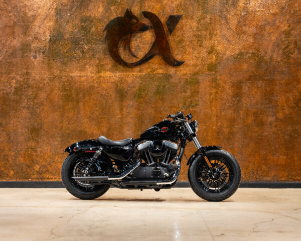 2019 HARLEY DAVIDSON SPORTSTER FORTY EIGHT®