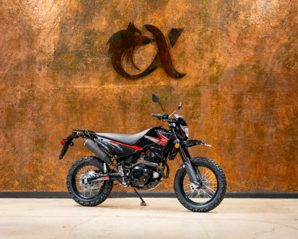 2023 SSR XF250 DUAL SPORT - Image 2