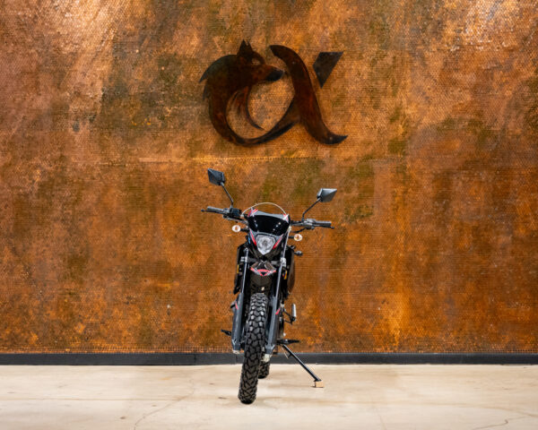 2023 SSR XF250 DUAL SPORT - Image 3