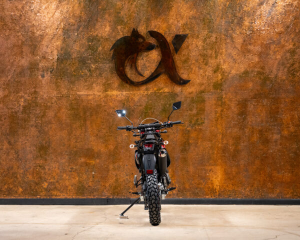 2023 SSR XF250 DUAL SPORT - Image 5