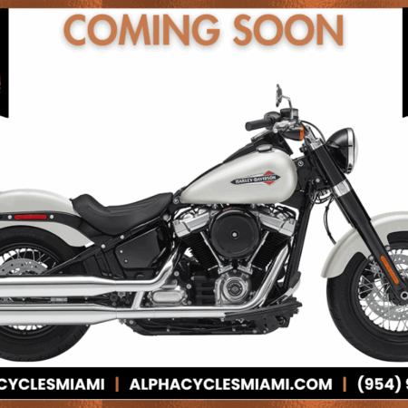2018 HARLEY DAVIDSON SOFTAIL SLIM CUSTOM