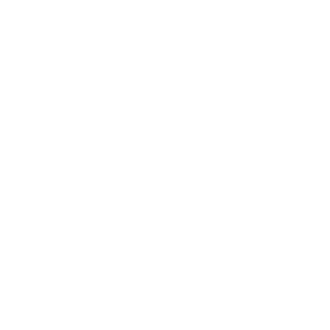 qjmotors