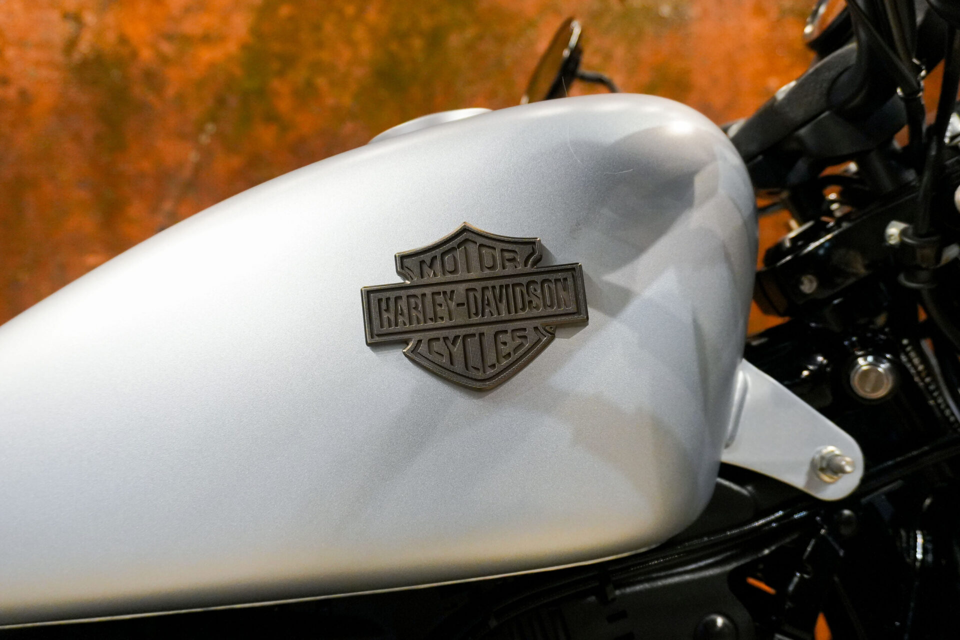 2020 HARLEY DAVIDSON SPORTSTER IRON 883