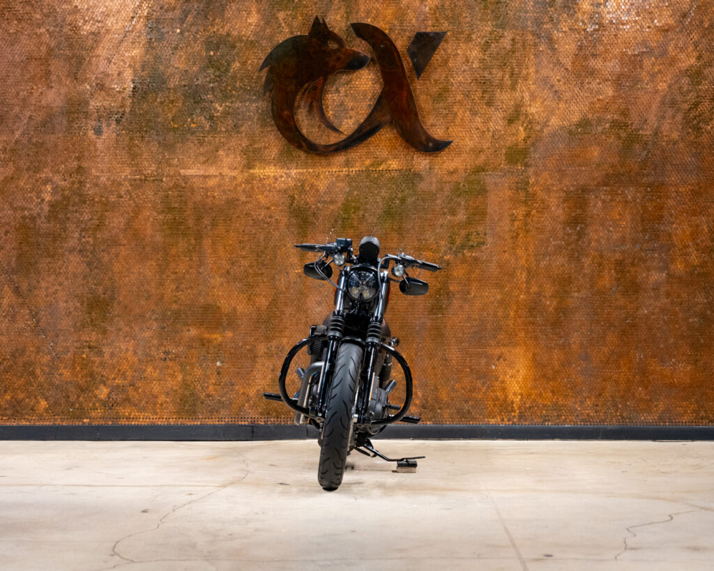 2019 HD SPORTSTER IRON 883™