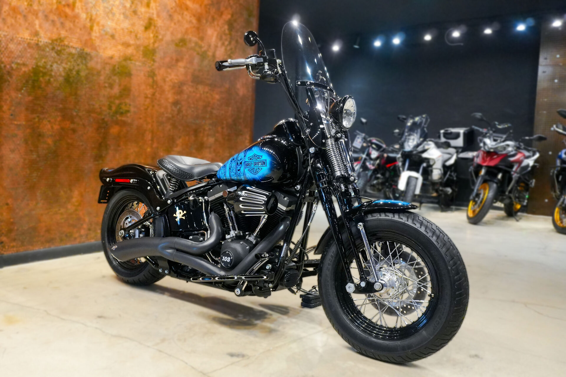 2009 HARLEY DAVIDSON CROSS BONES