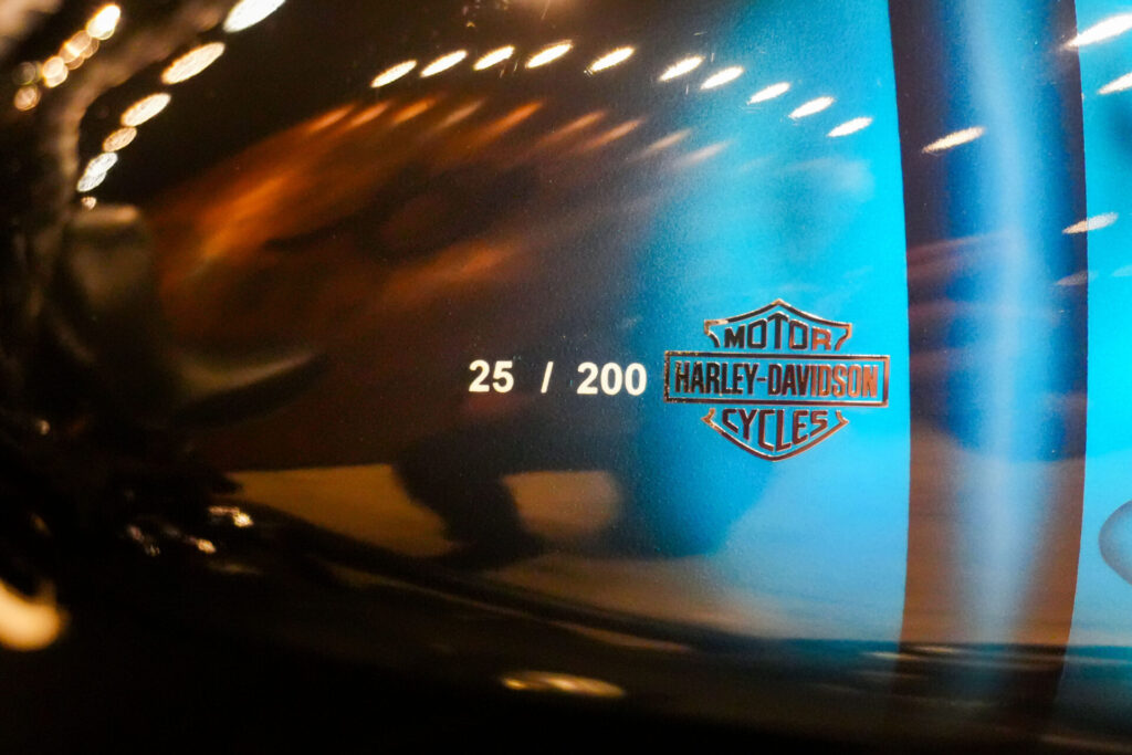 2009 HARLEY DAVIDSON CROSS BONES