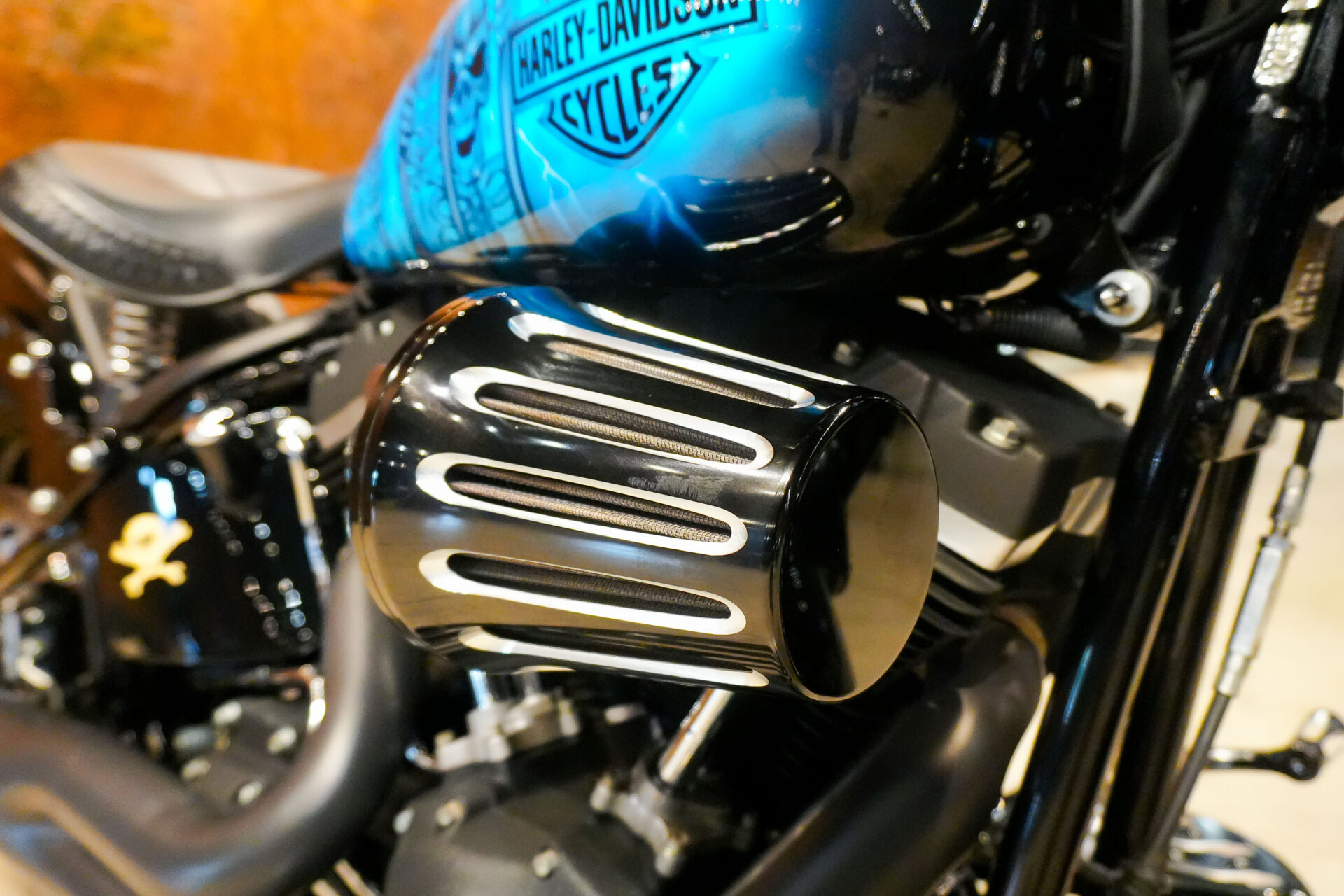 2009 HARLEY DAVIDSON CROSS BONES