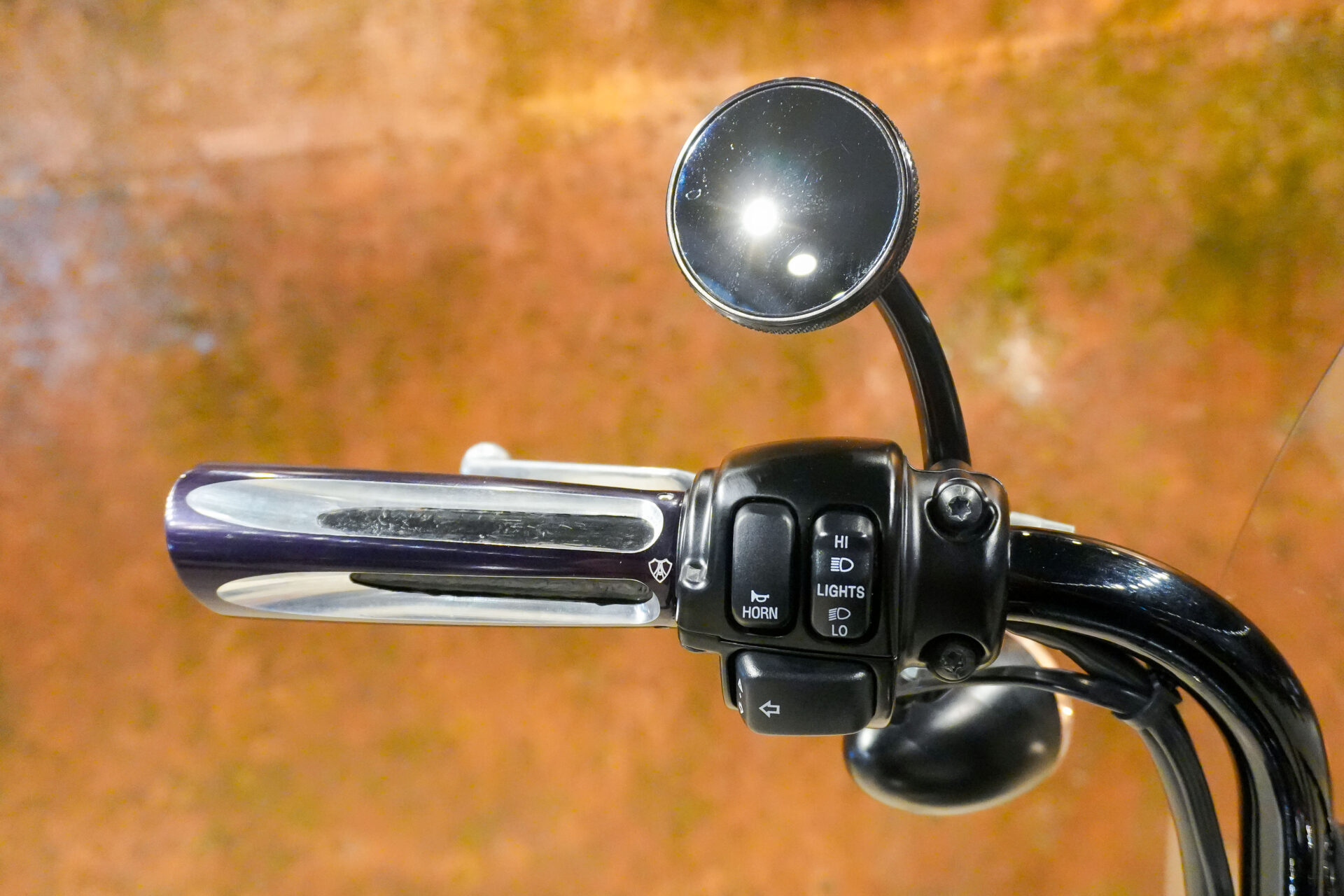 2009 HARLEY DAVIDSON CROSS BONES