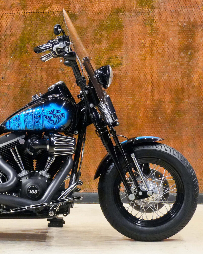 2009 HARLEY DAVIDSON CROSS BONES